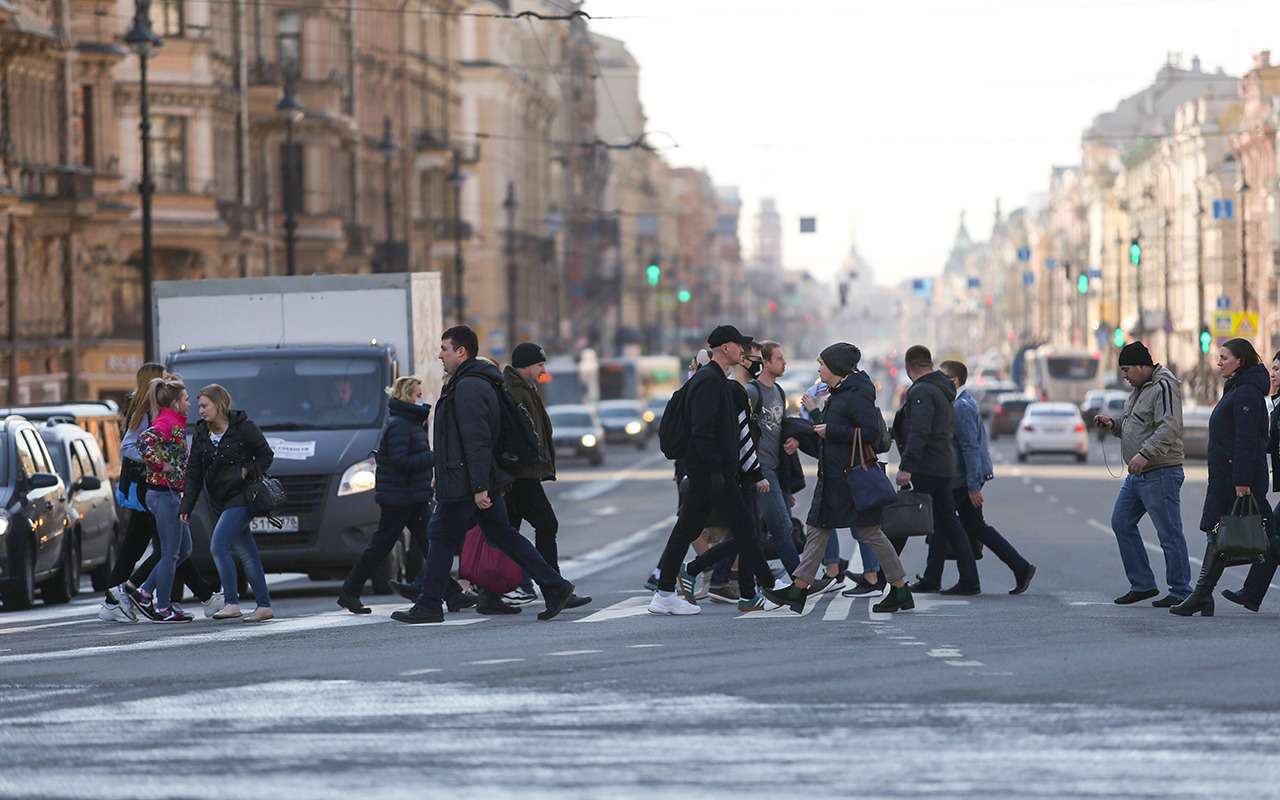 Власти придумали, как обезопасить пешеходов